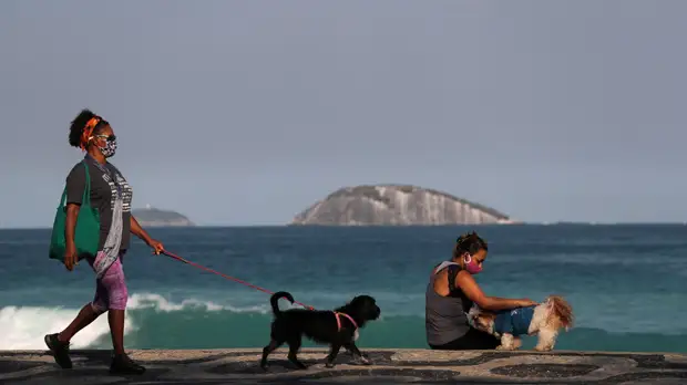 Более 40 тысяч случаев коронавируса выявили в Бразилии за сутки