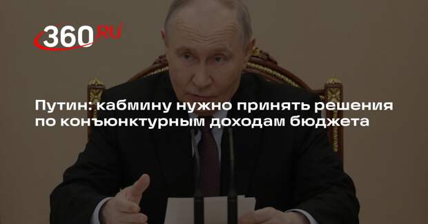 Путин: кабмину нужно принять решения по конъюнктурным доходам бюджета