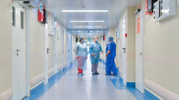 В НИИ гриппа спрогнозировали, когда возможен пик заболеваемости