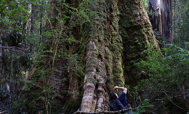 Фото: Каспар С., Flickr, CC BY 2.0