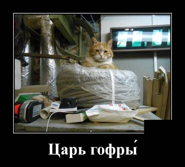 Демотиваторы (30 фото)