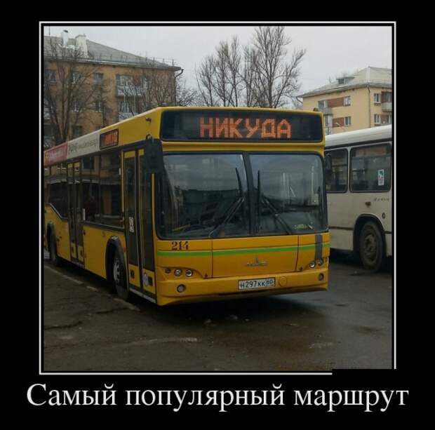 Смешные и умные демотиваторы. 538 ( 29 фото )