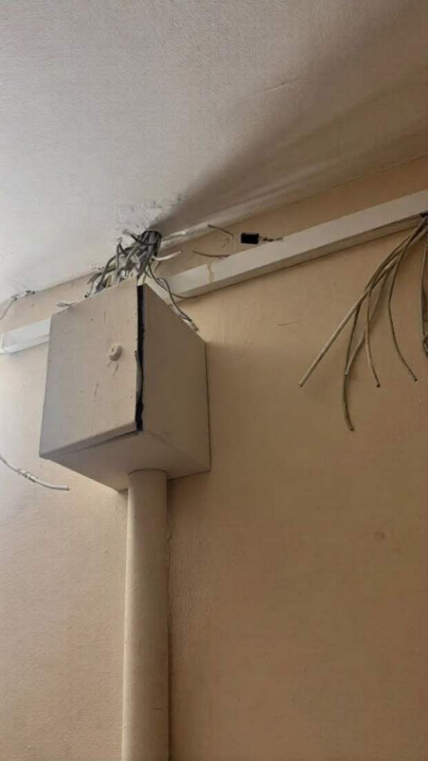 В ростовском Батайске пенсионерка регулярно режет интернет-кабели в подъезде