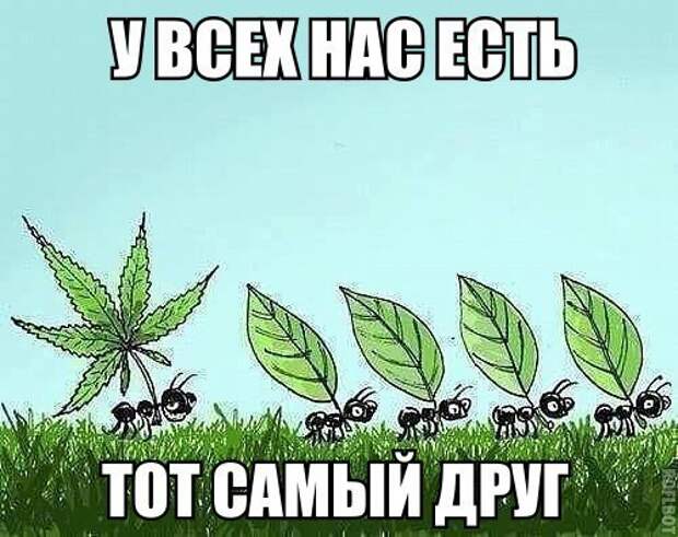 Сборка № 162