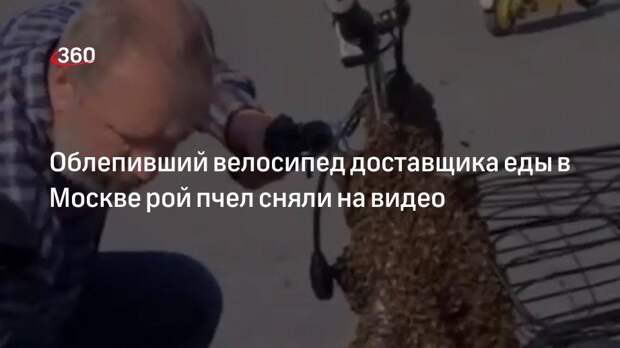 Рой пчел облепил велосипед курьеры сервиса доставки еды в Москве