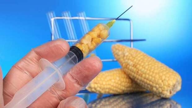 Новый ГМО в России. Роспотребнадзор официально разрешил есть больше химикатов