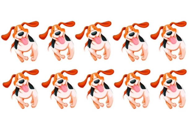 Найди не такую собаку: головоломка на внимательность с десятью песиками