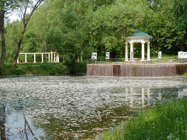 Бирюлёво Восточное: дендропарк и не только (Мой район)