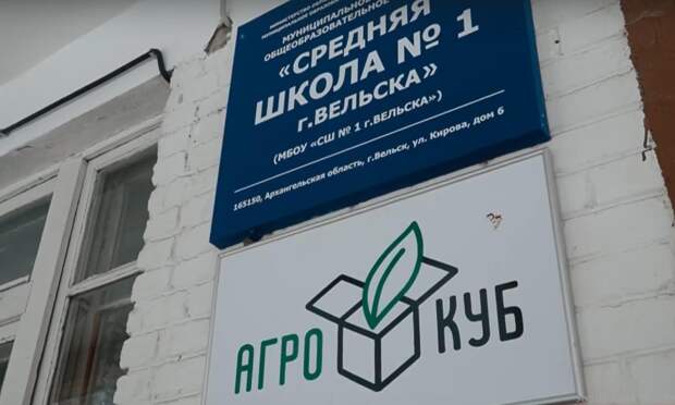 Вельская школа готовит будущих аграриев: в регионе развивают профильное образование