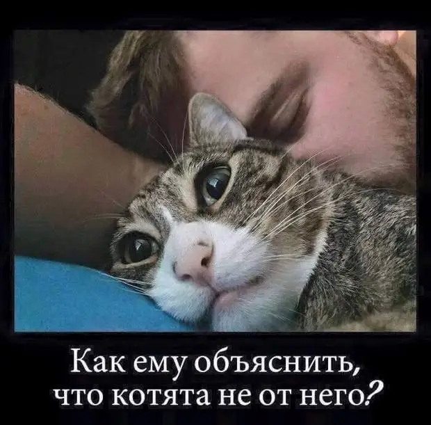 Индийский танцор диско Джимми опоздал на работу, и его попросили станцевать объяснительную Индийский танцор диско Джимми опоздал на работу, и его попросили станцевать объяснительную концерт, когда, нахер, никакой, закрыт, Трампа, пятницу, человек, Слушай, женой, желание, Шпильман, публично, Бондарчук, может, послать, Русские, Маленький, актерыто, ссыкливей