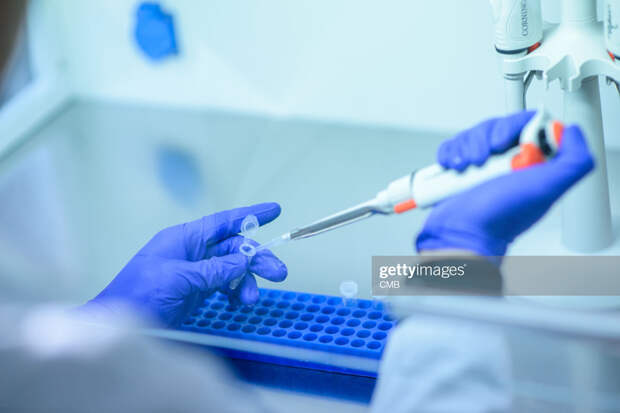 Covid-Research Covid-Research