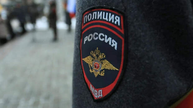 В Алтайском крае резко выросло число киберпреступлений