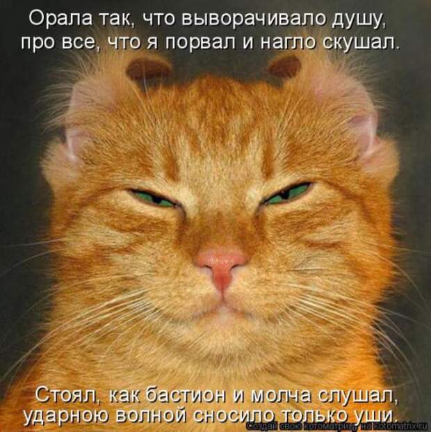Котоматрицы (картинки с надписями)