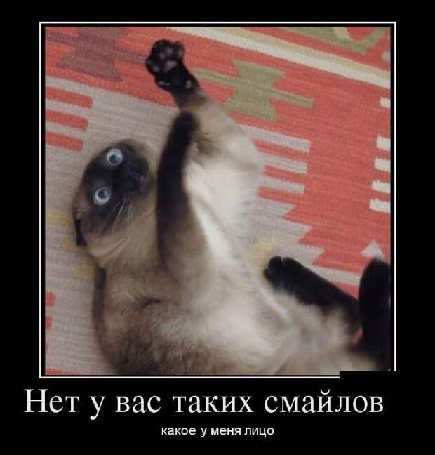 Демотиваторы!