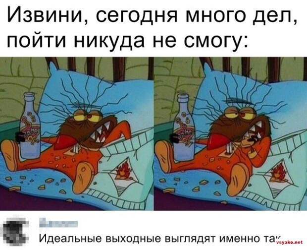 www.vsyako.net
