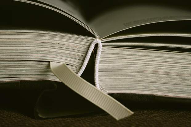 Илон Маск готовит замену «Википедии»