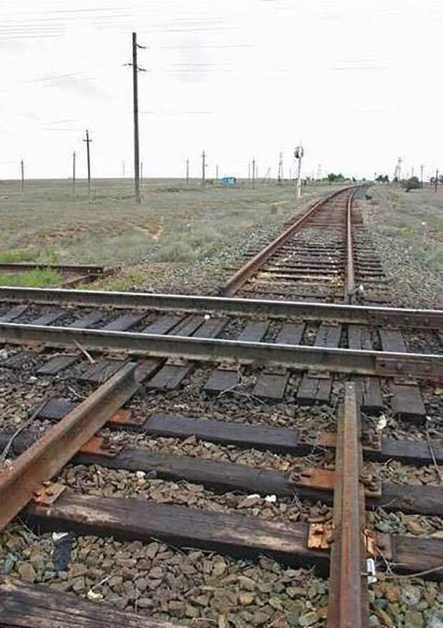 Подборка прикольных картинок