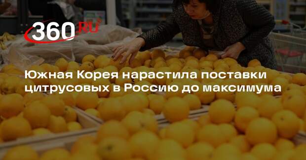 Поставки апельсинов из Южной Кореи в Россию увеличились на 5% за месяц