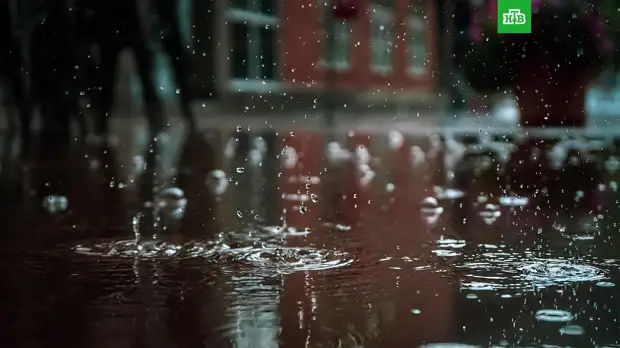 Синоптик рассказал, какая погода ждет москвичей в апреле