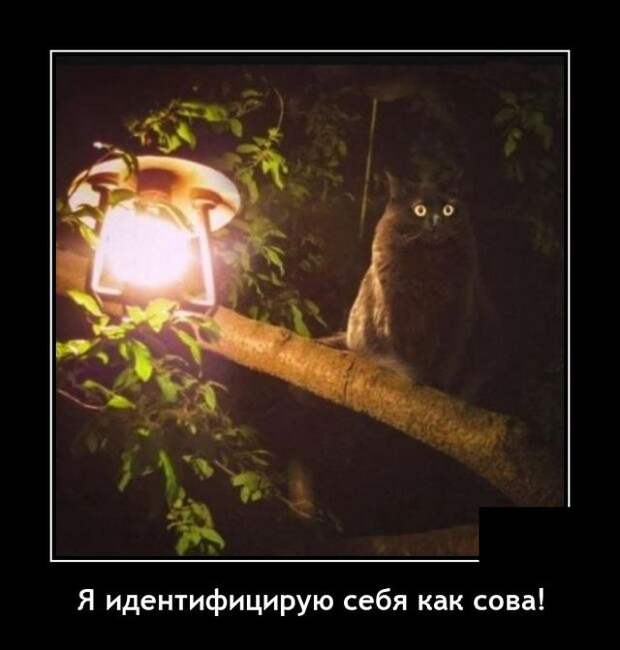 Демотиваторы 14 февраля 2022 года