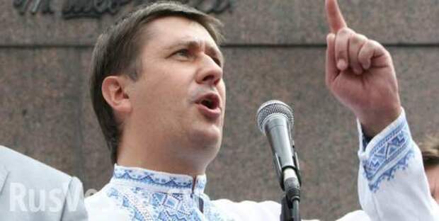 Украина против Amnesty International: вице-премьер раскритиковал заявление правозащитников | Русская весна