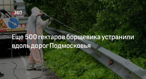 Еще 500 гектаров борщевика устранили вдоль дорог Подмосковья