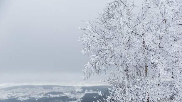 «Густая» кровь и суженные сосуды: эксперт объяснил, как мороз провоцирует инфаркты и инсульты