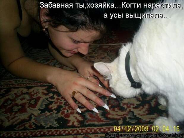 Лучшие котоматрицы недели Лучшие котоматрицы недели