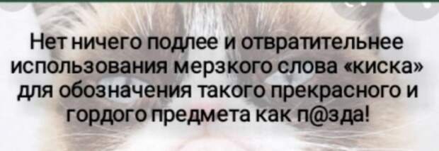Юмор на любителя Юмор на любителя