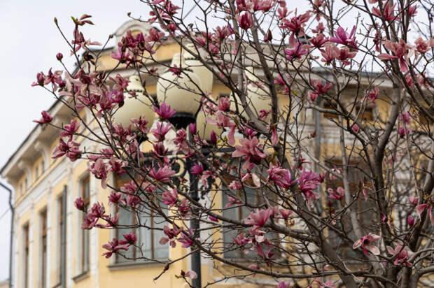 Погода 4 апреля: днём до +17 и дождь