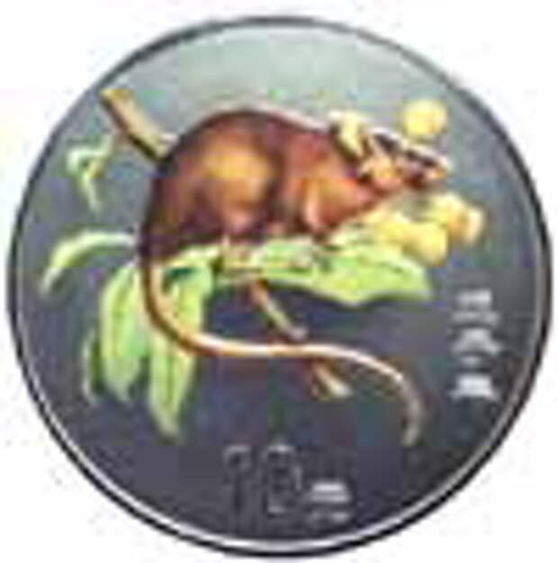China color rat coin