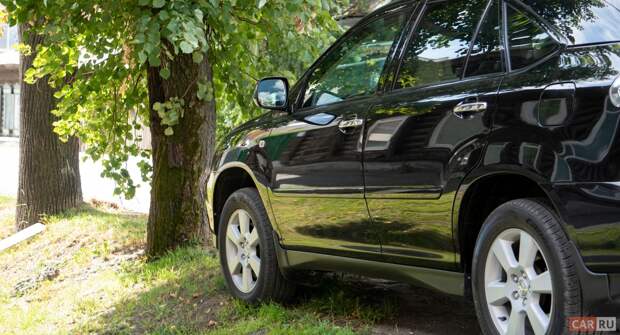 На машину упало дерево: что делать и как получить компенсацию