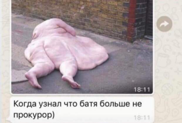 Юмор на любителя Юмор на любителя