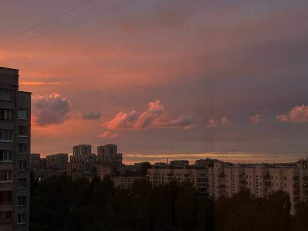 В Петербурге 17 марта воздух прогреется до +12 градусов