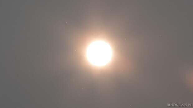 Синоптики обещают Москве рекордное потепление