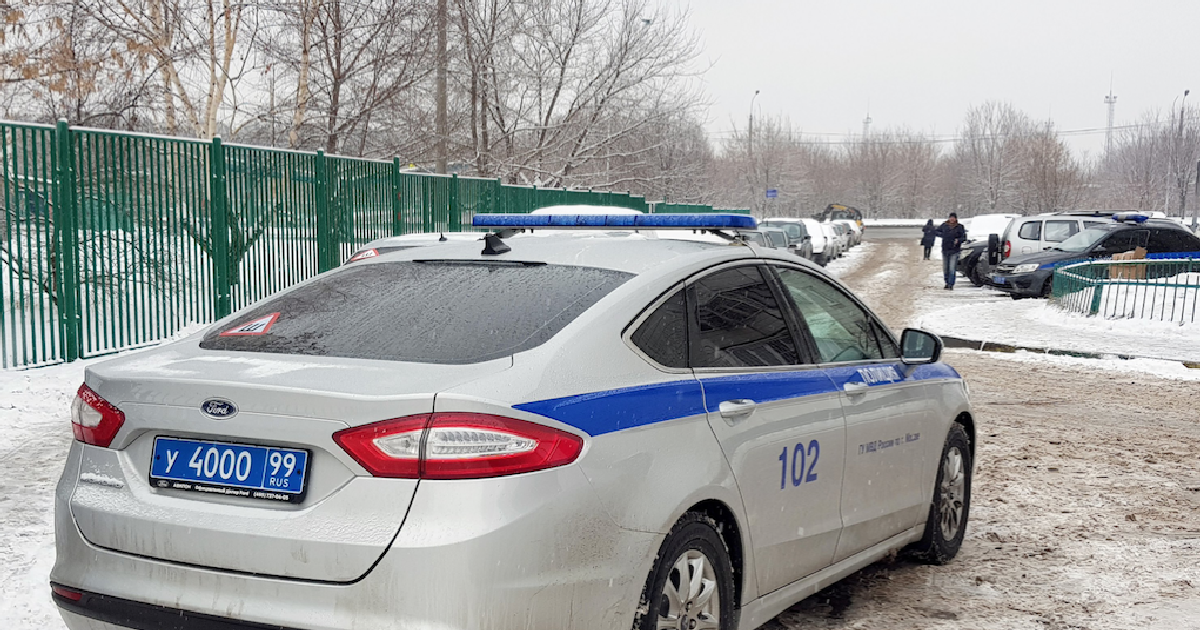 Новости дня - Происшествия: Подростка, который принёс нож в жулебинскую школу, убедили сдаться. Новости дня Россия - DaylyNews.ru