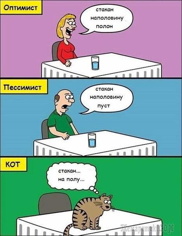 Шутки со страниц интернета