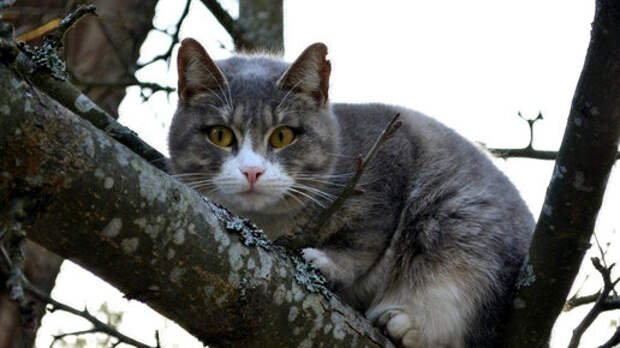 Верить и ждать