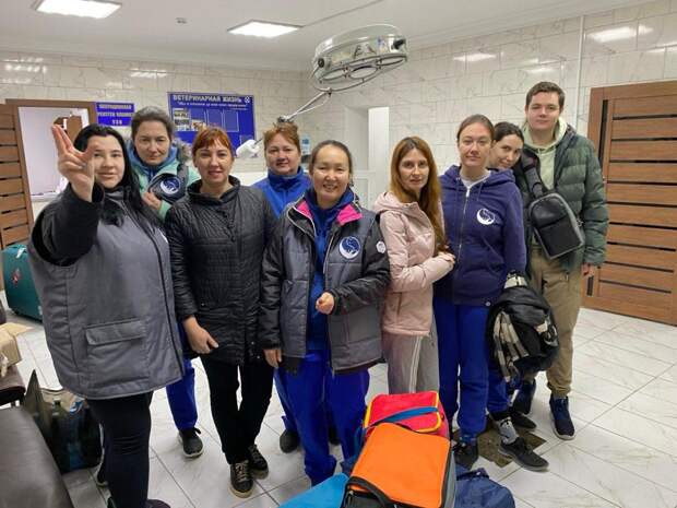 Новосибирские добровольцы бесплатно стерилизуют 300 животных в Махачкале