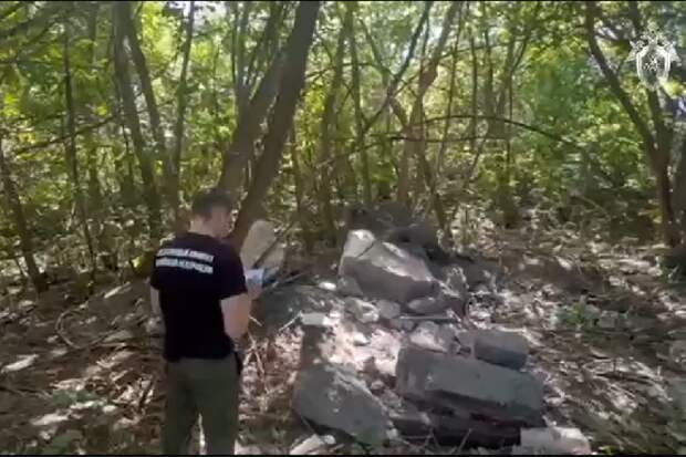 Чиновник из Мичуринска осужден за гибель 10-летнего ребенка под завалами