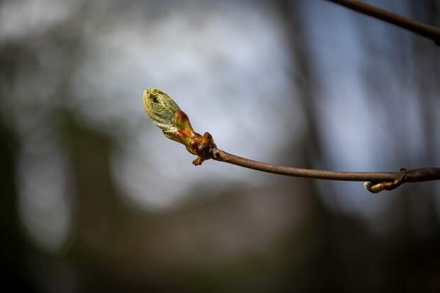 Какие изменения вступают в силу с марта?