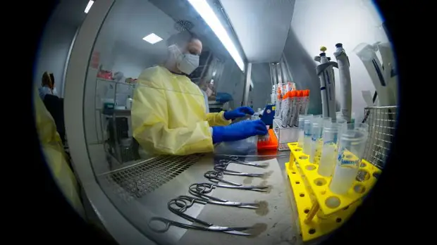 Гинцбург оценил эффективность вакцин против «Омикрон»-штамма XE