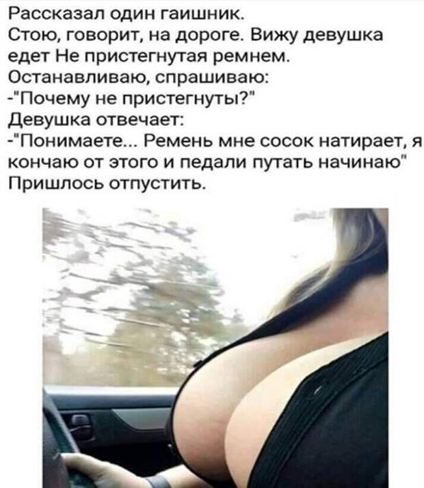 Смешные и познавательные картинки