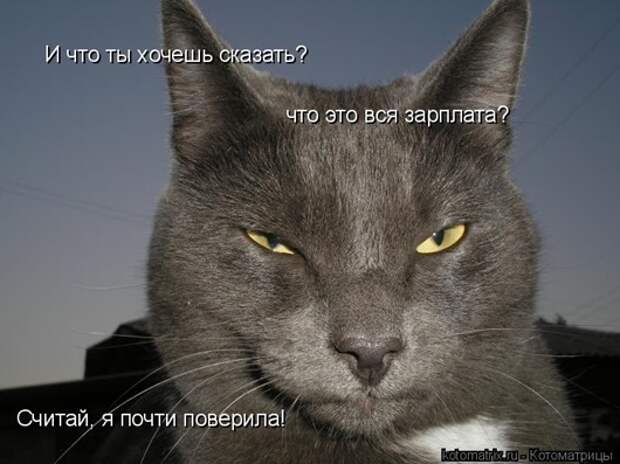 kotomatrix_12
