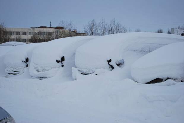 На Камчатке за ночь снегом завалило все автомобили зима, камчатка, снег, снегопад