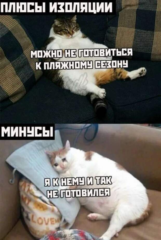 Смешные комментарии. Подборка chert-poberi-kom-chert-poberi-kom-59560217102020-11 картинка chert-poberi-kom-59560217102020-11