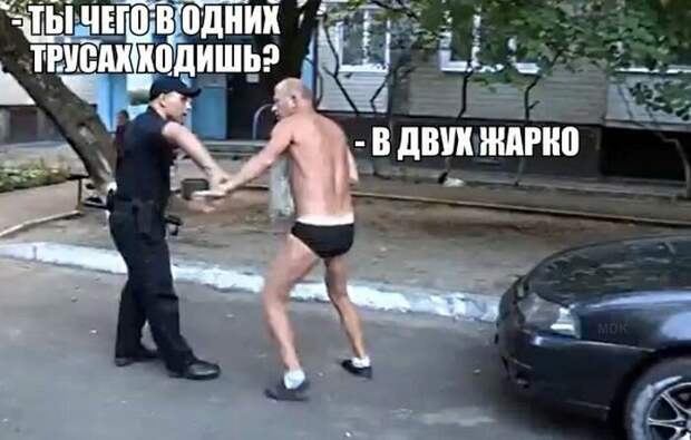 Смешные картинки с надписям весёлое, смешное, смешные картинки, юмор