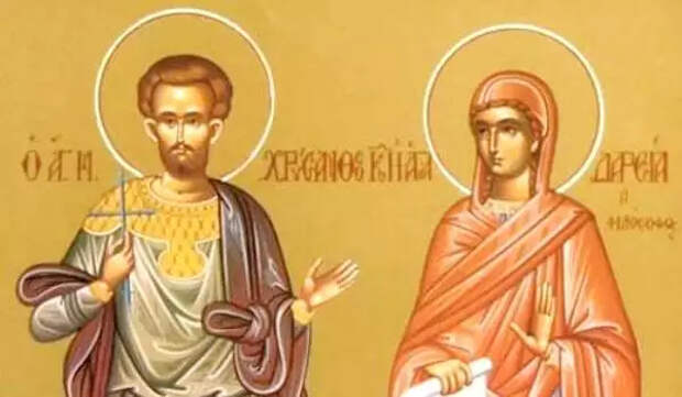 Хризантема и Дарья