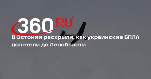 Ханниотти: силы ПВО Эстонии не заметили дроны, атаковавшие Ленобласть