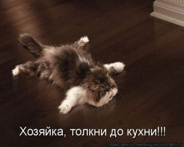 Смешная котоматрица